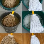 How to Use Bay Leaves: 3 Ways to Use These Leaves to Their Full Potential