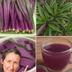 Boost Hair Growth and Strength with Hair Treatment Made From Cloves and Coffee