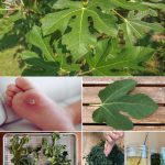 Most people don’t know the meaning of wearing an ankle bracelet