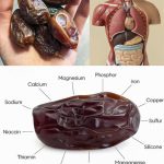 11 Very Common “Weeds” That Can Be Tastier and Healthier Than Your Everyday Diet