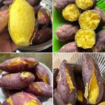 How to Recycle an Avocado Pit in The Kitchen (And Beyond)