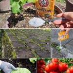 Why You Should Never Fasten Other Keys to Your Vehicle’s Ignition Key – A Small Habit That Can Cost You Big