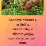 Homemade Crispy Chicken