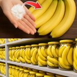 One of these almost forgotten treasures is the carob, an ancient fruit packed with remarkable nutritional properties