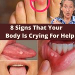 Cheese and Olive Pate