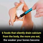 12 Best Flowers & Vegetables to Plant In October