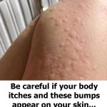 Arabic Hummus with Toasted Pine Nuts