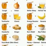 Water Apples: The Bell-Shaped Tropical Fruits That Resemble a Watermelon