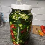 5-Ingredient Crunchy Honey Sesame Bars