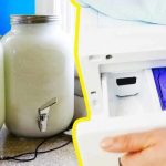 Muffin Pan Cheddar Crumbly Puffs