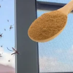 If you do this at night, cucumbers, tomatoes, peppers will produce tons! The best fertilizer ever