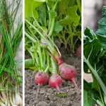 1 tablespoon every morning to naturally cleanse your blood vessels