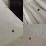 People with these 3 health problems should NEVER drink coffee