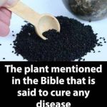 What Your Ring Choice Reveals About You