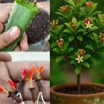 Pick A Bread To See What Kind Of Woman You Are