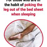 Guava and Its Leaves: A Natural Ally in the Fight Against Diabetes