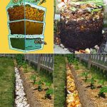 4 types of vegetables are full of parasites but many people still eat them raw every day