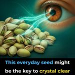 The Small Aluminum Ring on the Sausage Stick Hides a Surprising Use That Very Few People Know