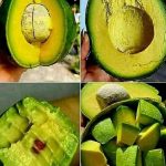 4 natural fertilizers for lemon plants