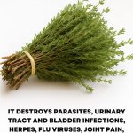 I feel like I’m in a bind