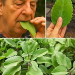 What It Means When Your Partner Turns Away After Making Love