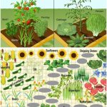 Unleash the Unsuspected Power of the Leaf of Life