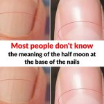 If You’re Not Using Castor Oil You’re Missing Out