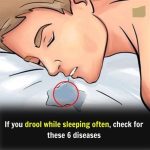 What the First Animal You See Reveals About Your Personality