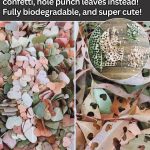 Cinnamon and Honey: The Most Powerful Remedy Even Doctors Can’t Explain