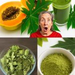 Say goodbye to flies, mosquitoes and cockroaches boiling these leaves