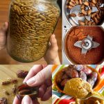 The Benefits of Rosemary for Older Adults: Nature’s Help for Healthy Aging