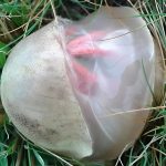 What Is a Microwave Ring Cover For?