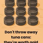 What Is a Microwave Ring Cover For?