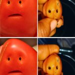 The Plant That “Prays”: Maranta Leuconeura for Luck and Prosperity