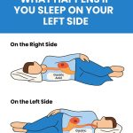 The Plant That “Prays”: Maranta Leuconeura for Luck and Prosperity