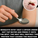 Peanut Butter Recipe