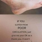 Apple + Lemon: The Simple Kitchen Duo That Can Transform Your Health