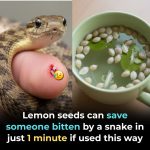 HERBAL TEA FOR WOMEN