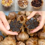 Cold Showers vs Hot Showers: Health Benefits Backed by Science