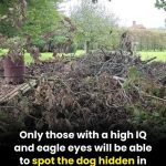 How to Keep Lemons Fresh Longer and Prevent Mold