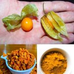 Pick The Longest Line: Your Answer Reveals What Kind Of Person You Are