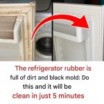 Put this bunch of leaves in the toilet: No bad smell all week, repels mosquitoes and ants.