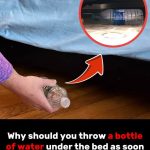 Many people still think that these 2 buttons is just for flushing