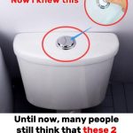 Why should you throw a bottle of water under the bed as soon as you check into a hotel?