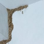 Why You Should Always Unplug This Kitchen Appliance at Night