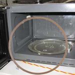 When a Cat Rubs Against You — What Should You Do?