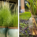 Should We Eat Eggs With BL00D Spots