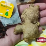 Why do women cross their legs when sitting? Psychological perspectives