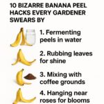 My nana showed me this trick to make bare patches green again in just 3 mins with 0 effort. Here’s how it works