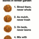 You are doing it wrong. Here’s what you should plant together & what to never mix